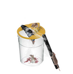 Self-closing mouse trap with automatic reset