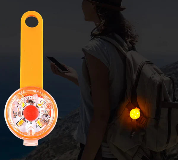Rechargeable LED safety tag for pets