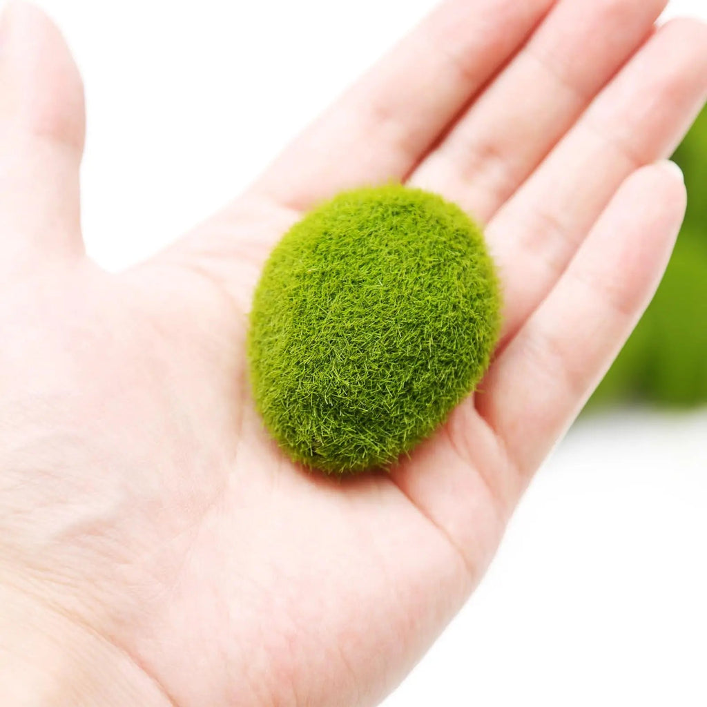 MossAura Floravio | Decorative Moss Stones | Easy Care & Versatile | For Creative Projects