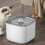 Ultra-quiet 3L Pet Water Fountain