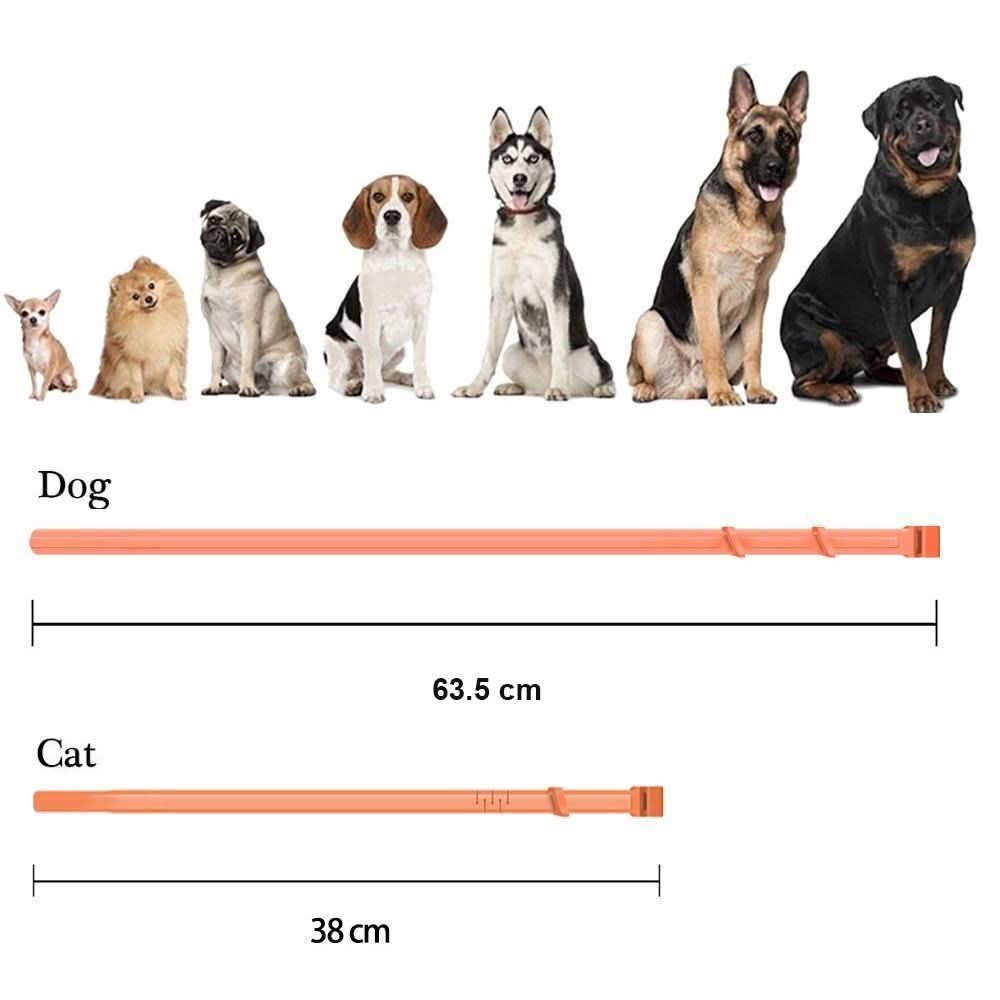 Flea & Tick Protection Collar for Dogs & Cats