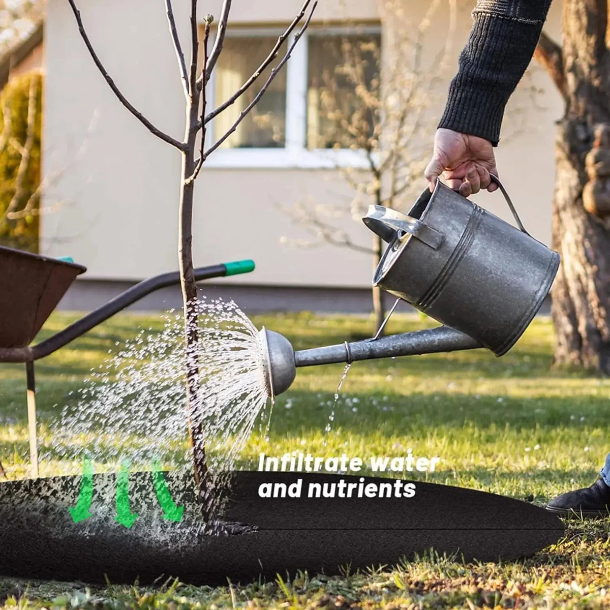 Weed fleece tree disk – Breathable root protection mat for garden and plants