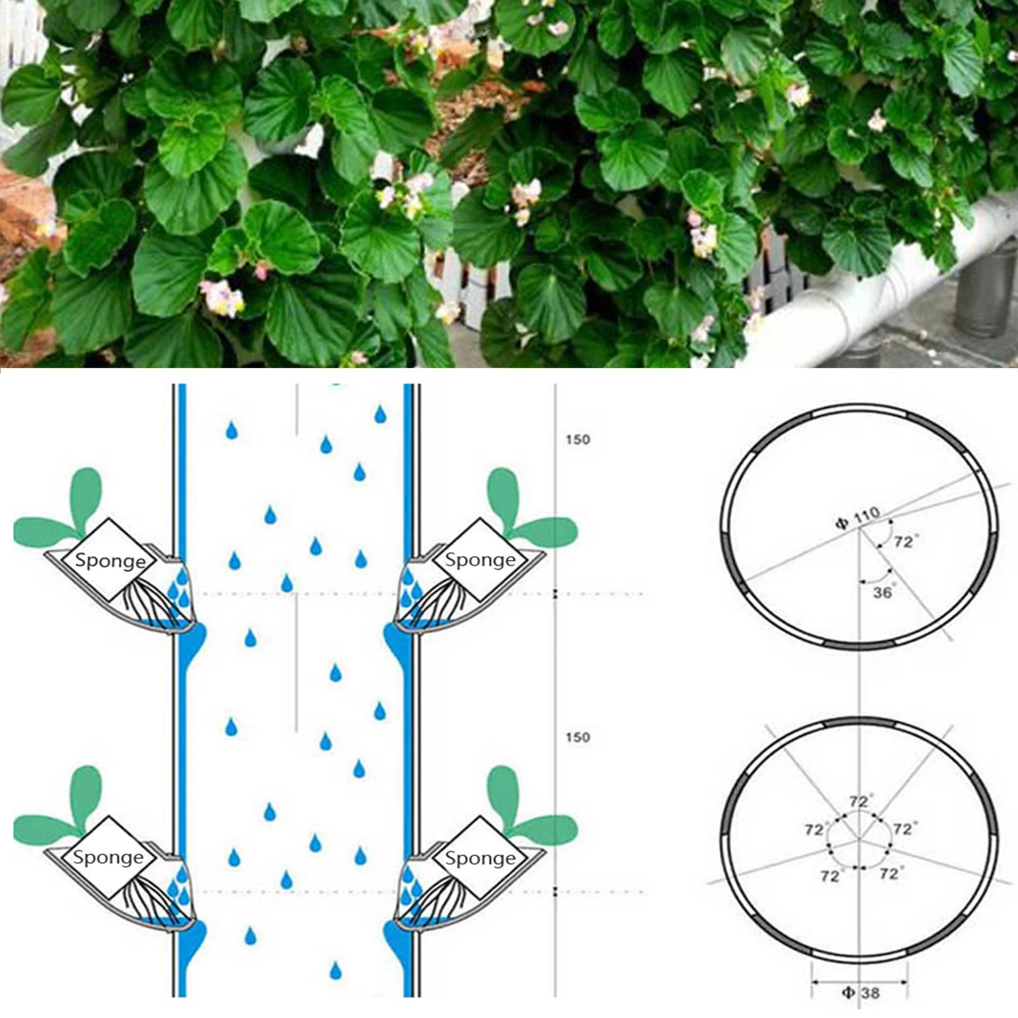 Hydroponic Garden Planting Cups