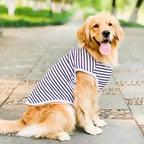 Cotton Summer T-Shirt for Large Dogs – Breathable Tee for Golden Retrievers, Huskies, Labradors, Corgis and More