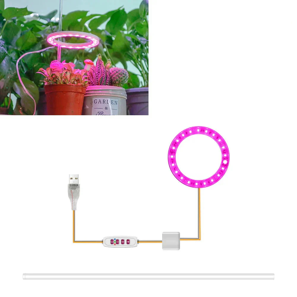 Plantuno Ring Plant Light | LED Grow Light with Timer | USB | Dimmable & 3 Light Colors | 1–4 Heads