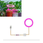 Plantuno Ring Plant Light | LED Grow Light with Timer | USB | Dimmable & 3 Light Colors | 1–4 Heads