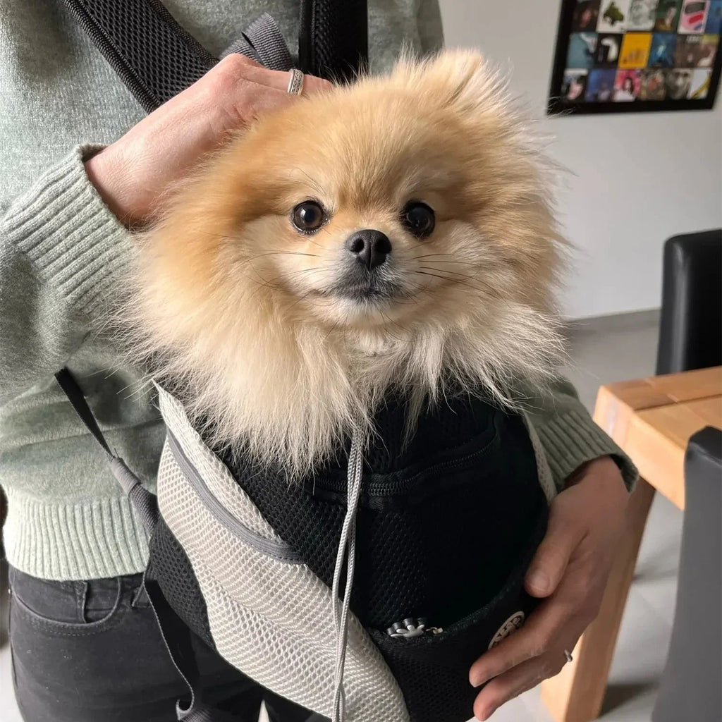 Backpack with Mesh for Pets for Walks and Hikes