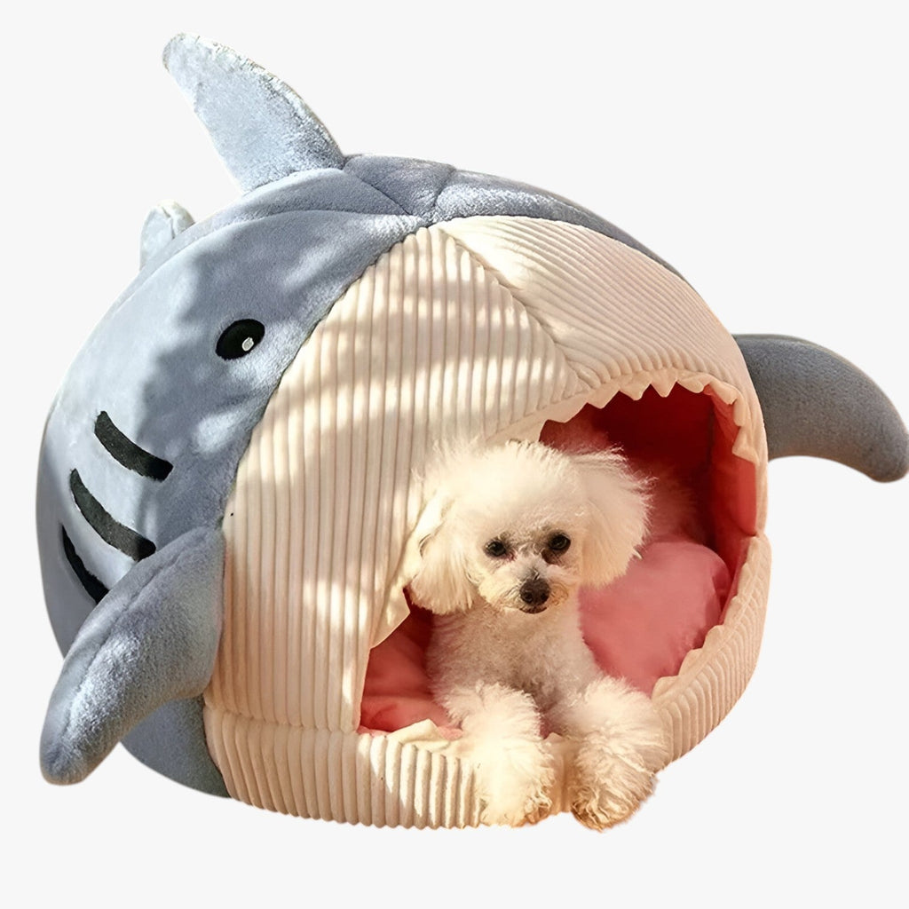 SoftBloom Shark Cat Bed – Cozy Hideaway for Indoor