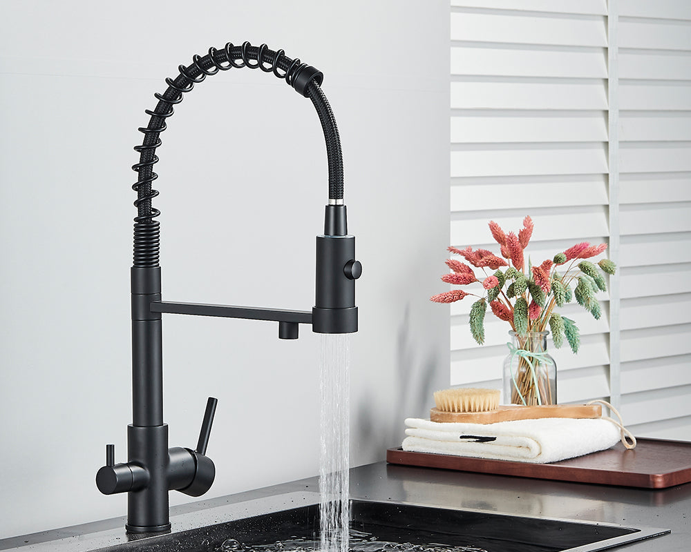 Sandsberg Black Filter Kitchen Faucet with Dual Outlet – Mixing Tap with Water Filter for Kitchens, Water Treatment and Cleaning