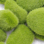 MossAura Floravio | Decorative Moss Stones | Easy Care & Versatile | For Creative Projects
