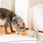 Luxury bowl with high leg for dogs and cats