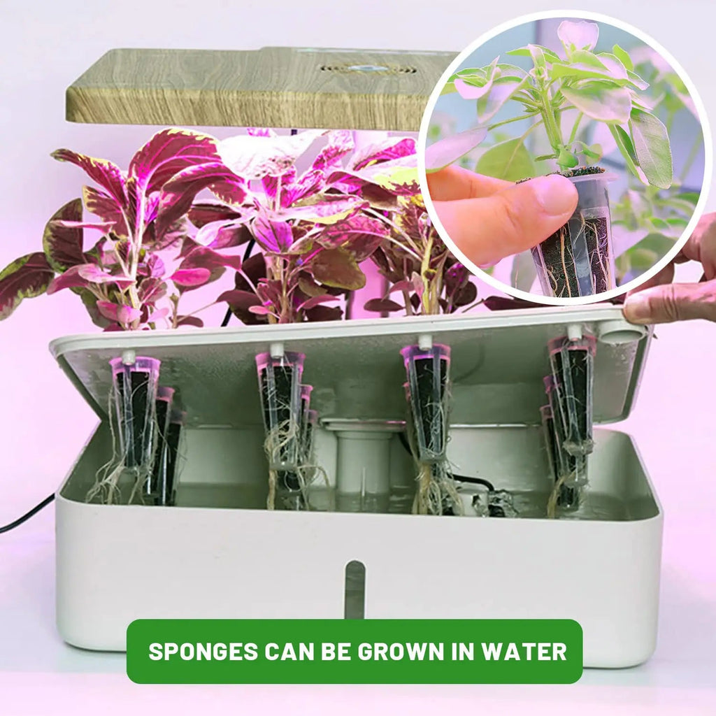 WurzelWunder Planting Sponges 50 Pieces | Replacement Growth Sponges for Hydroponics & Soil | For Herbs, Vegetables & Flowers