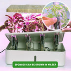 WurzelWunder Planting Sponges 50 Pieces | Replacement Growth Sponges for Hydroponics & Soil | For Herbs, Vegetables & Flowers