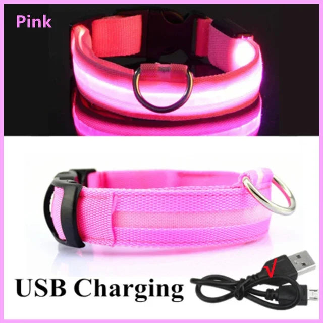 LUXPETS GlowSafe LED Dog Collar | Illuminated & Rechargeable | Adjustable & Waterproof | Anti-Loss at Night