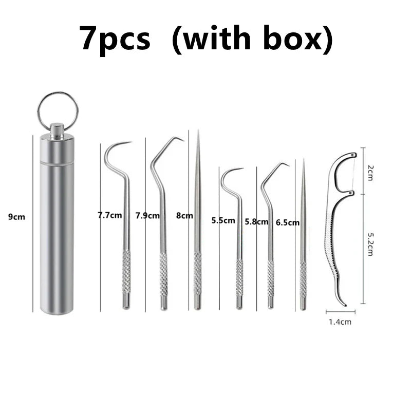 Stainless Steel Reusable Toothpick Set