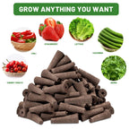 WurzelWunder Planting Sponges 50 Pieces | Replacement Growth Sponges for Hydroponics & Soil | For Herbs, Vegetables & Flowers