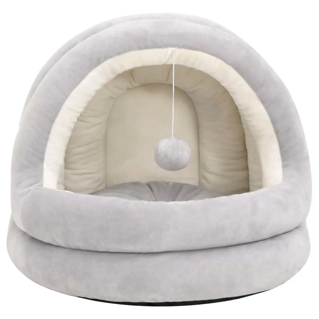 Safe shelter for cats and dogs