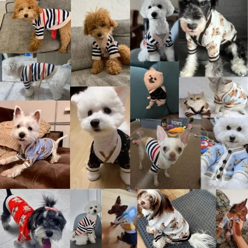 Dog cardigan made of knit warm and striped
