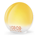 Sunrise Simulation Wake-Up Alarm Clock with Night Light & FM Radio