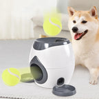 Interactive Snack Ball Dispenser for Dogs