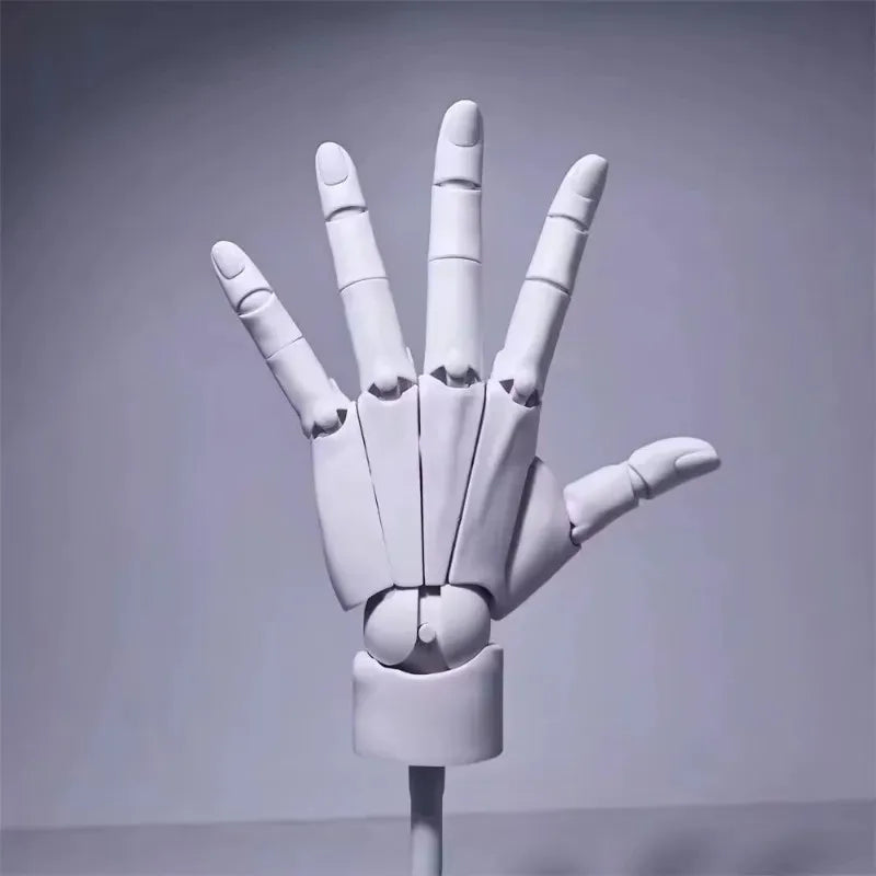 Multi-Pose Drawing Sculpting Art Hand Model