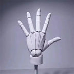 Multi-Pose Drawing Sculpting Art Hand Model