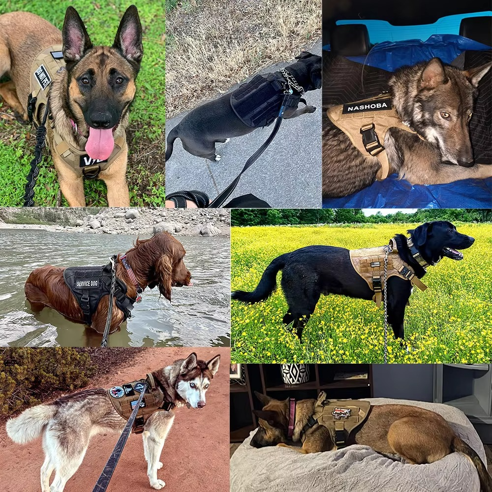 Tactical Dog Harness and Leash Set for Medium and Large Dogs