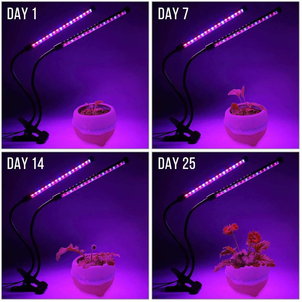 LumiPlant LED Plant Light | USB Grow Light | 1–4 Heads | Dimmable with Timer