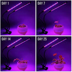 LumiPlant LED Plant Light | USB Grow Light | 1–4 Heads | Dimmable with Timer