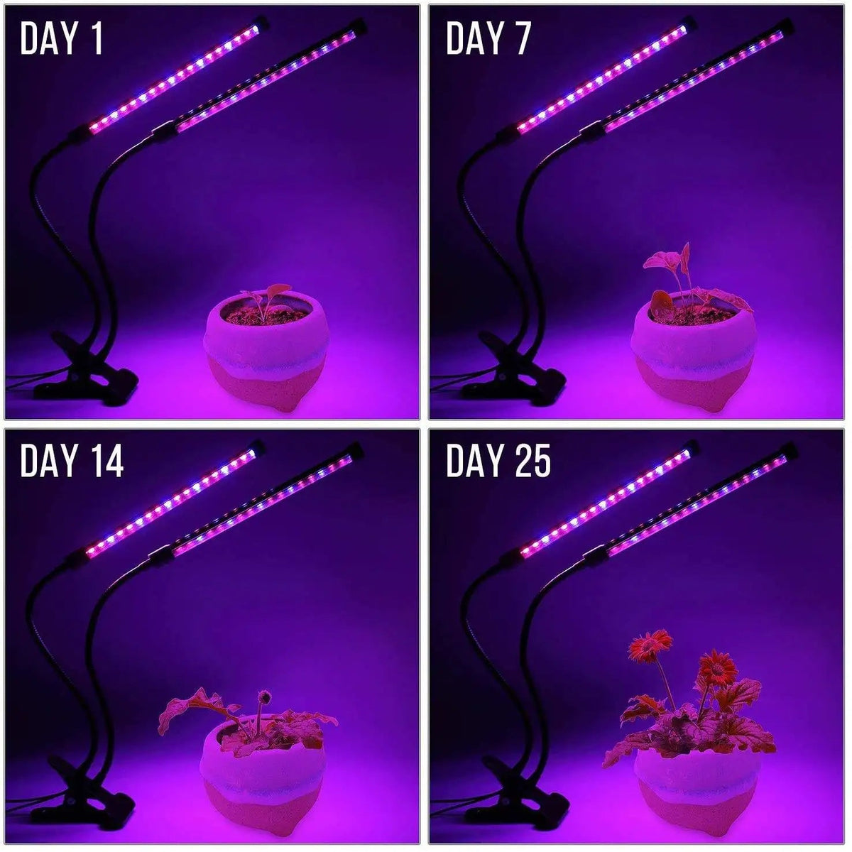 LumiPlant LED Plant Light | USB Grow Light | 1–4 Heads | Dimmable with Timer