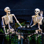 Movable human skeleton 90–165 cm — realistic decoration for Halloween and horror parties