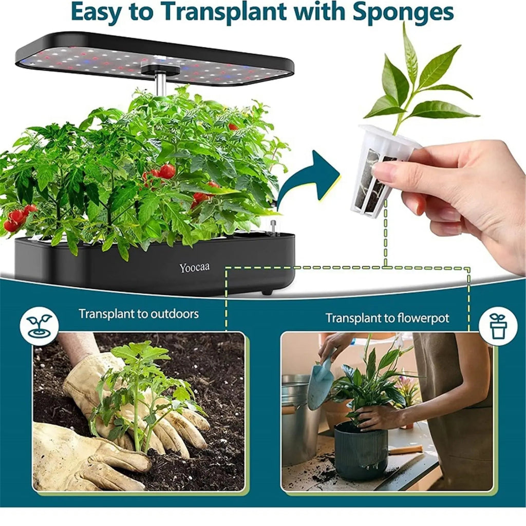 HydroLeaf Hydroponics Starter Set 120 pieces | With baskets, sponges & covers | For indoor gardening & cultivation