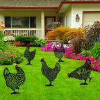 Luxury chickens that will bring humor and elegance to the garden!