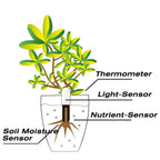 GrowSense – Your smart garden helper!