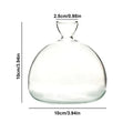 Avocado Vase Glass | Transparent Germination Glass | Plant Container for Avocado Cultivation | 10–15 cm