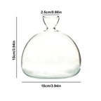Avocado Vase Glass | Transparent Germination Glass | Plant Container for Avocado Cultivation | 10–15 cm