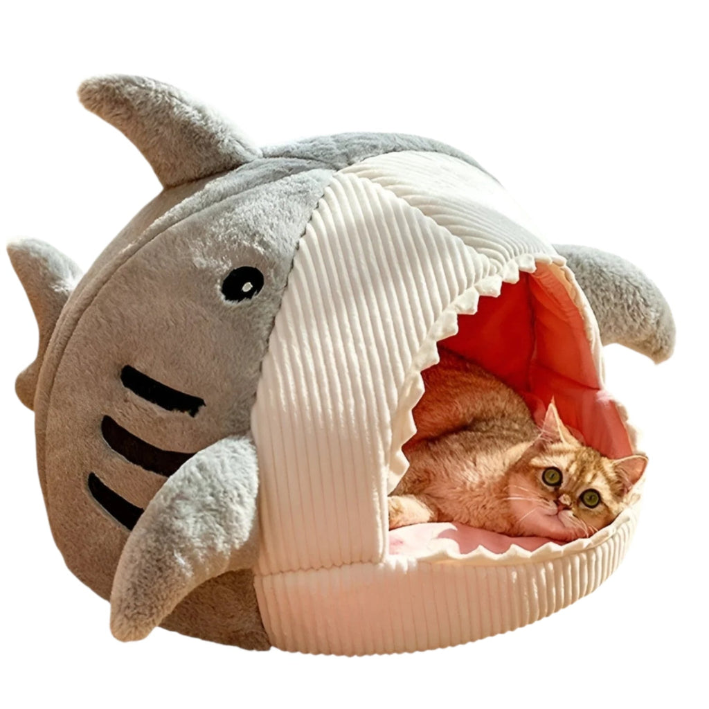 SoftBloom Shark Cat Bed – Cozy Hideaway for Indoor