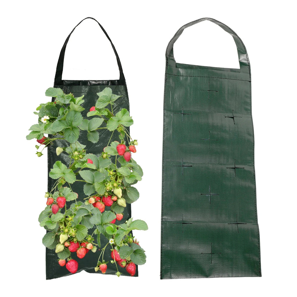 VertiBloom Wall Planting Bag for Strawberries & Herbs | 6/8/10 Pockets | Vertical Garden Planting Bag made of PE for Indoor & Outdoor