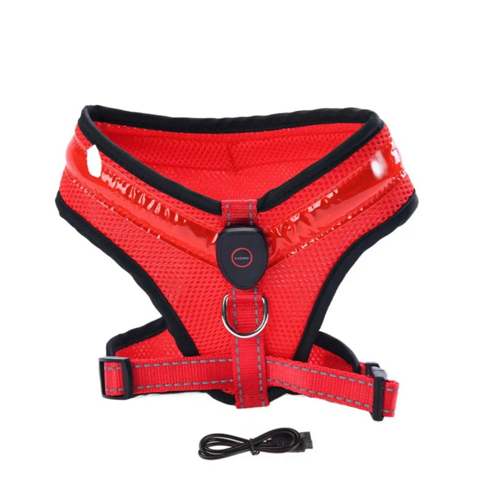 LED Dog Harness USB rechargeable & adjustable