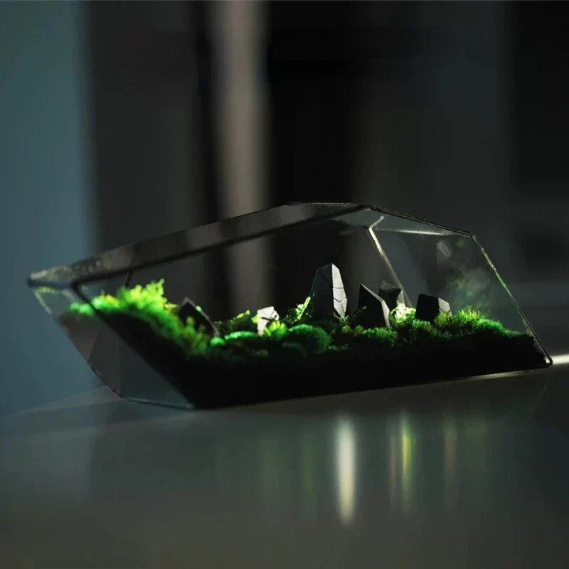 Geometric Glass Moss Planter Terrarium Vase
