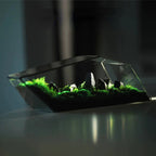 Geometric Glass Moss Planter Terrarium Vase