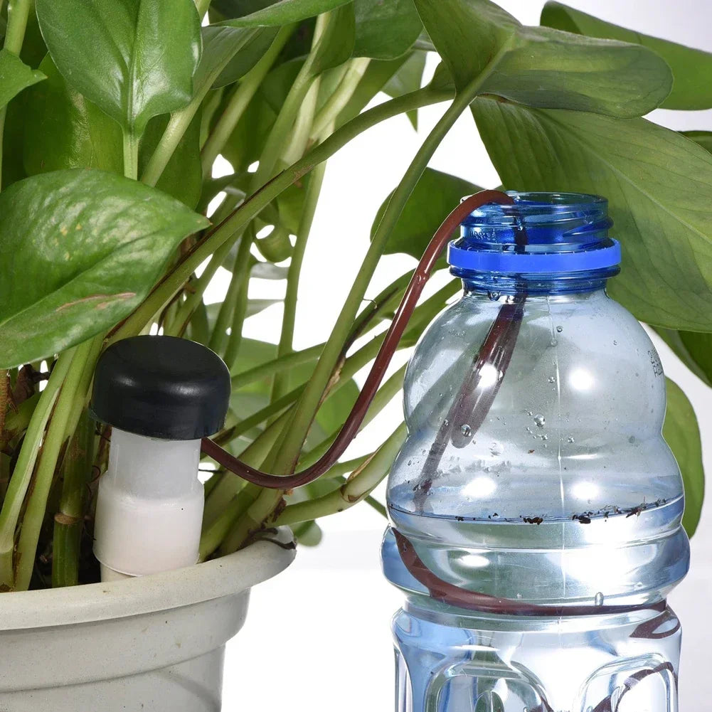 AquaTerris Plant Irrigation System | 8-Piece Set | Self-Watering Ceramic Spikes | Automatic & For Indoor Use