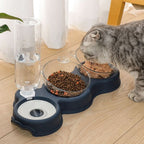 3-in-1 Feeding Station with Water Dispenser & Elevated Bowl