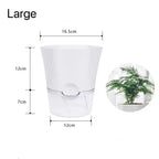 Plantilo Self-watering Flower Pot | Transparent | Automatic Water Supply | For Houseplants
