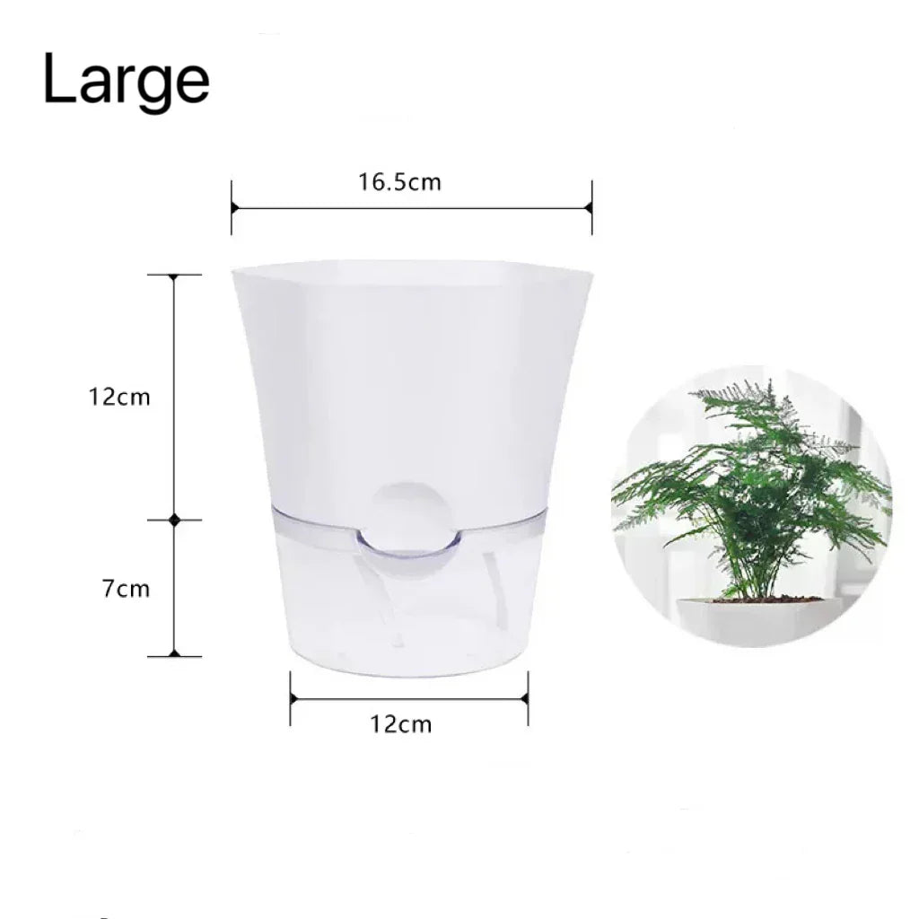 Plantilo Self-watering Flower Pot | Transparent | Automatic Water Supply | For Houseplants