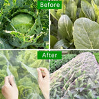 Naturaviso Garden Net Insect Protection | UV-resistant & Tear-resistant | Plant Protection Net against Pests & Birds