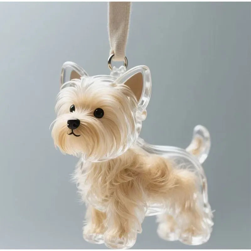 Transparent fur memory tag