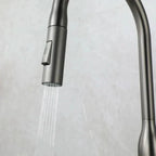 Stainless Steel Kitchen Faucet with Pull-Out Sprayer