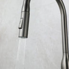 AquaStream Luxe – Adjustable Kitchen Faucet with Hand Shower