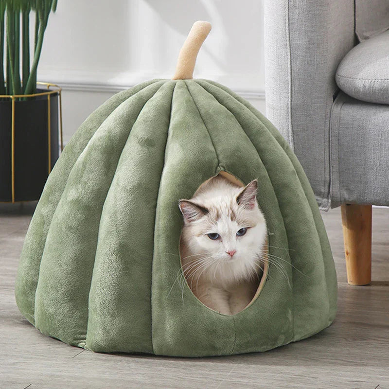Cozy Nook for Your Purrer